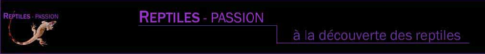 reptiles passion