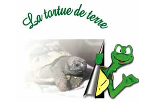 le site des tortues terrestres