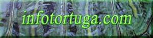 infotortuga
