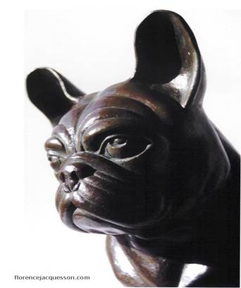 Bouledogue français (détail)