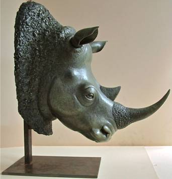 Rhinocéros blanc