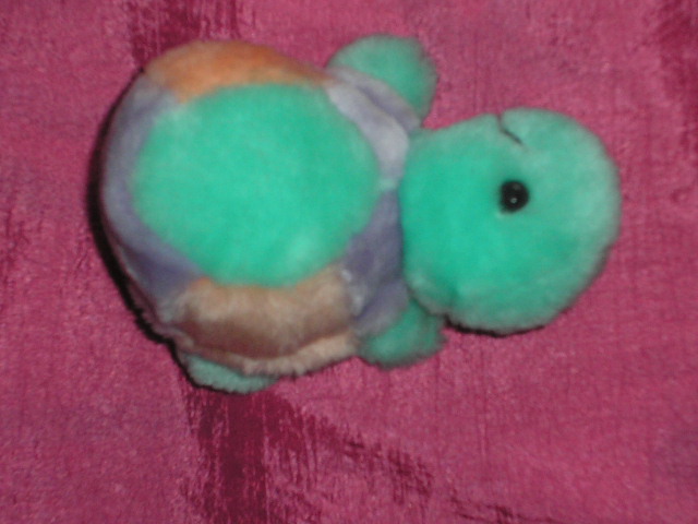 peluche tortue