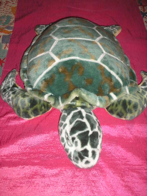 tortue peluche