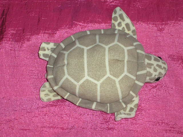 tortue peluche