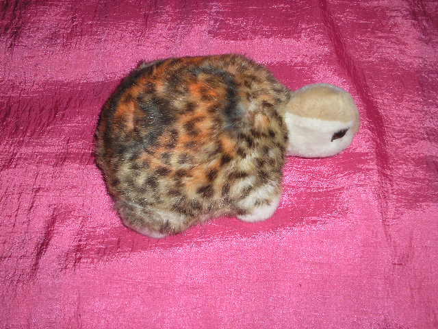 tortue peluche