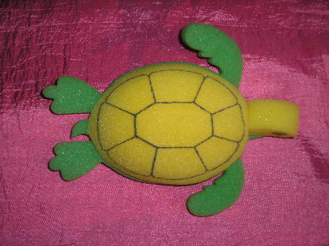 tortue