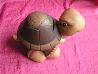 tortue tirelire