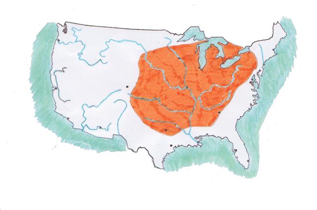 Graptemys geographica