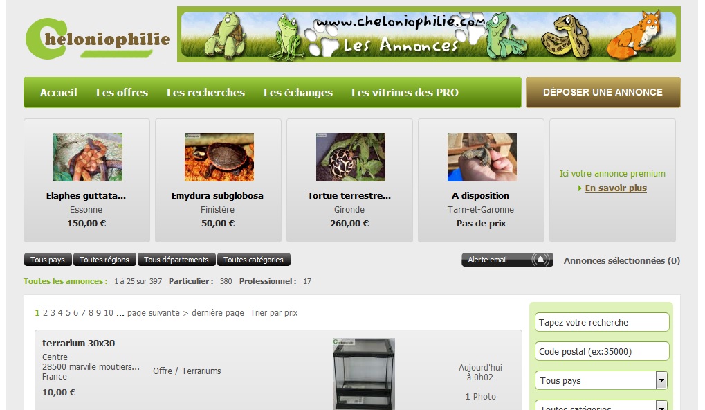 Petites annonces tortues